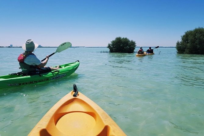 Mangroves Kayaking With Pickup & Drop off - Accessibility and Participation Information