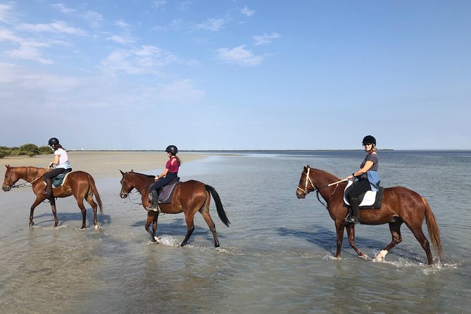 Mangroves Ride - Safety Tips for Mangrove Tours