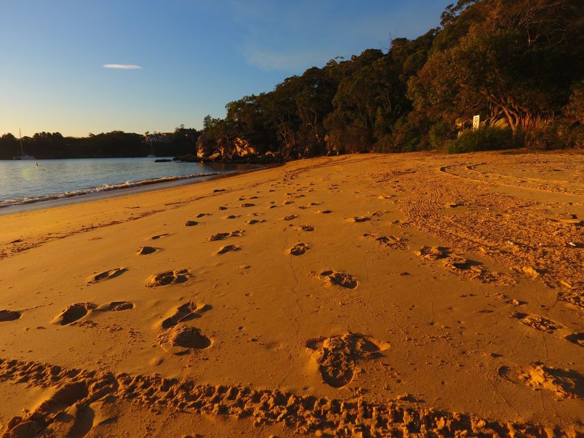 Manly: 3-Beach Kayak Tour With Lunch - Tour Inclusions