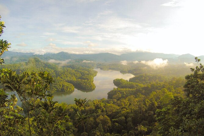 Manu National Park 4 Days - Day 3: Lake Sandoval and Canopy Walk