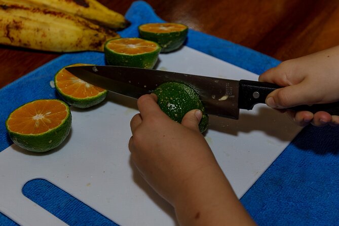 Manuel Antonio Local Cooking Class With Botanical Garden Tour - Logistics