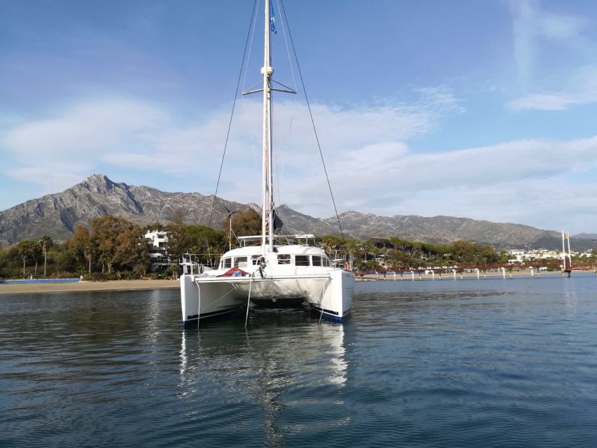 Marbella: Catamaran Tour With Dolphin Watching - Experience Highlights