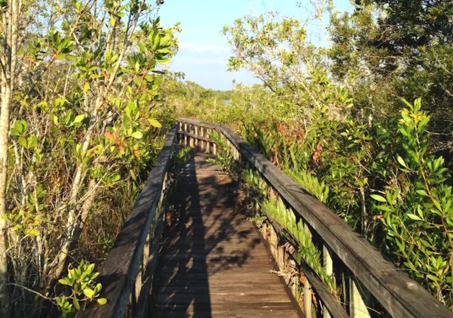 Marco Island, FL: Nature and History Bicycle Tour - Experience Highlights and Tour Inclusions