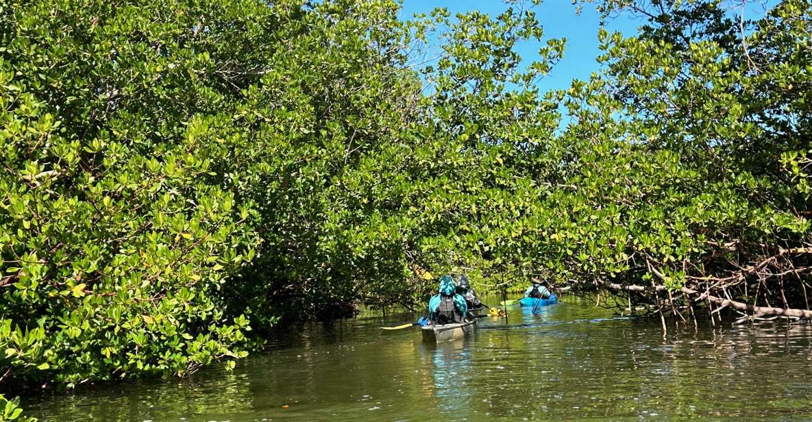 Marco Island: Mangrove Maze Kayak Tour (2hrs) - Booking Information