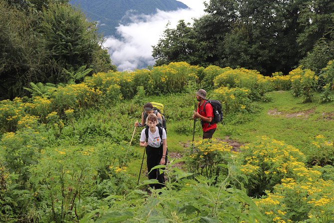 Mardi Himal Base Camp Trek (5 Days) - Accommodation Options