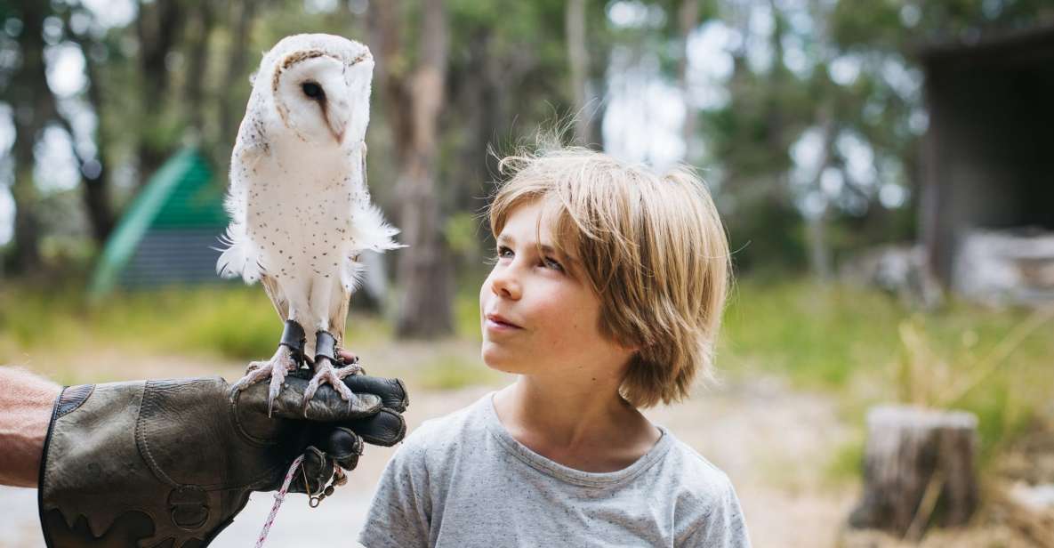 Margaret River: Birds of Prey Encounter and Forest Walk - Explore Tranquil Native Forest Walk