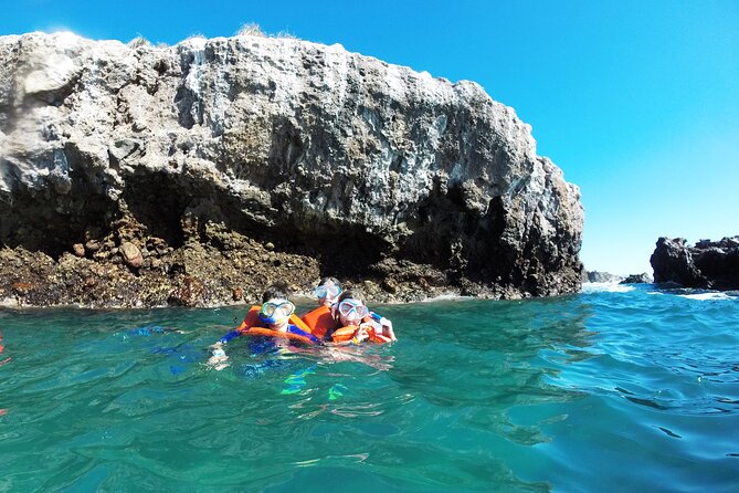 Marietas Islands Snorkeling & Hidden Beach (W/ Restrictions) - Booking and Cancellation Policies