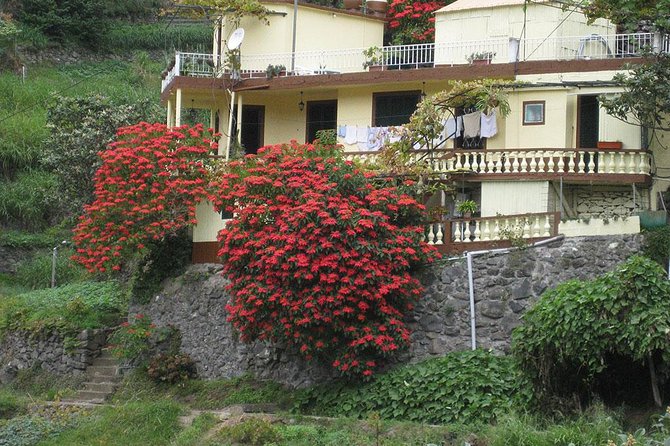 Maroços Mimosa Valley Levada Walk From Funchal - Inclusions
