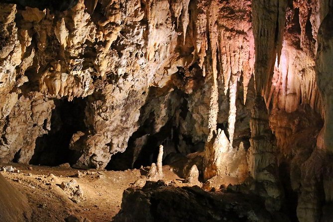 Maropeng Cradle of Humankind & Sterkfontein Cave Experience (Caves Is Closed) - Traveler Experience Insights