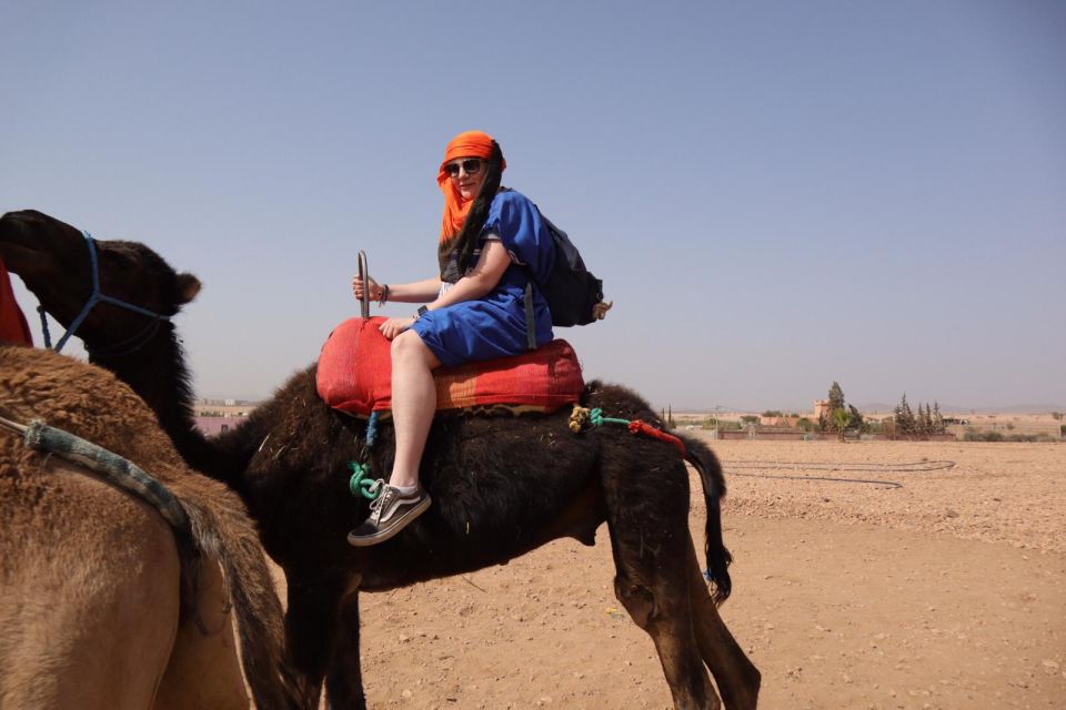 Marrakech: Camel Ride in the Palm Grove - Experience Highlights