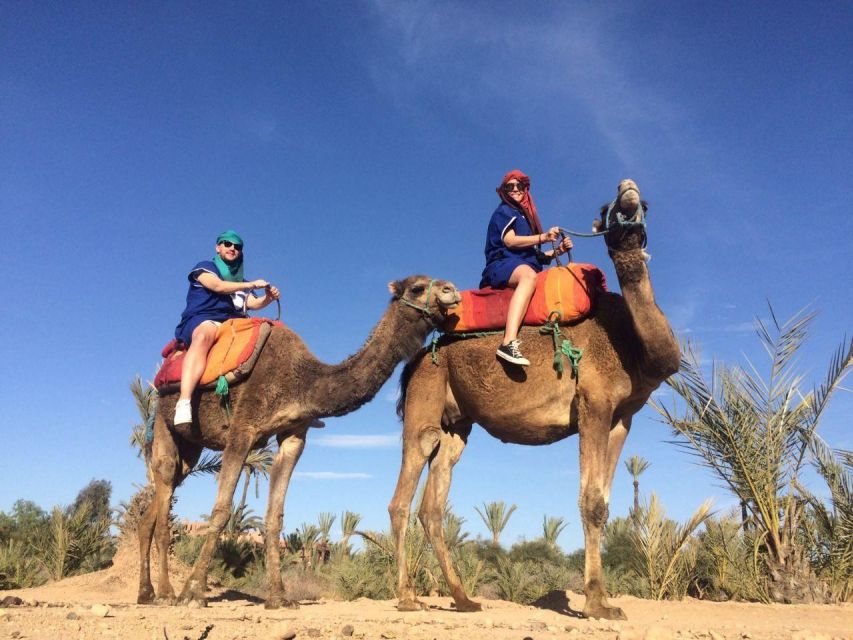 Marrakech: Camel Ride in the Palmeraie - Experience Highlights