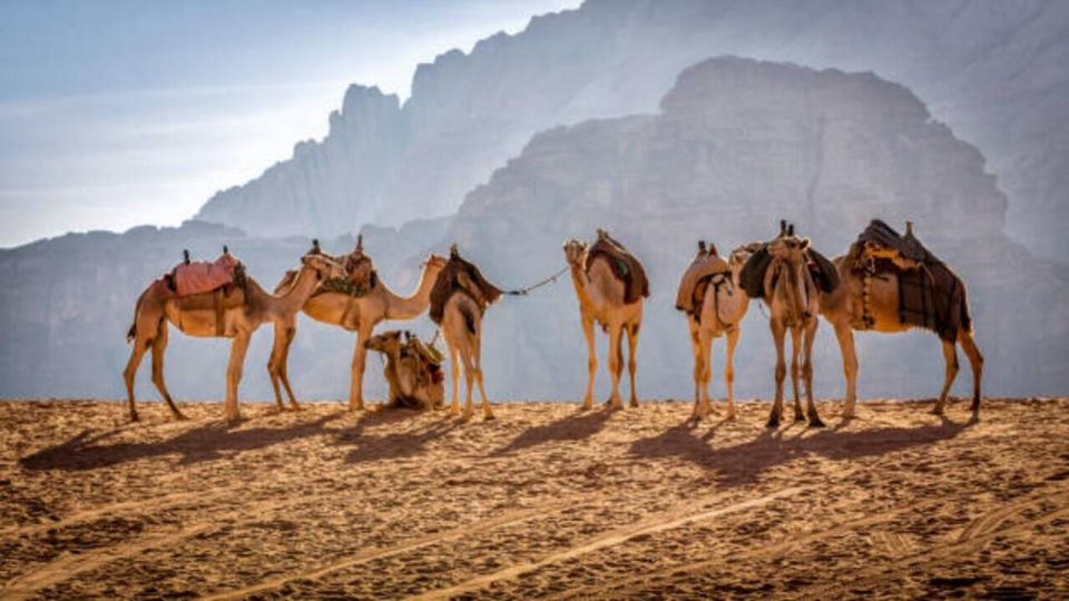 Marrakech : Full-day Agafay Desert and Atlas Mountain Tour - Cancellation Policy Details