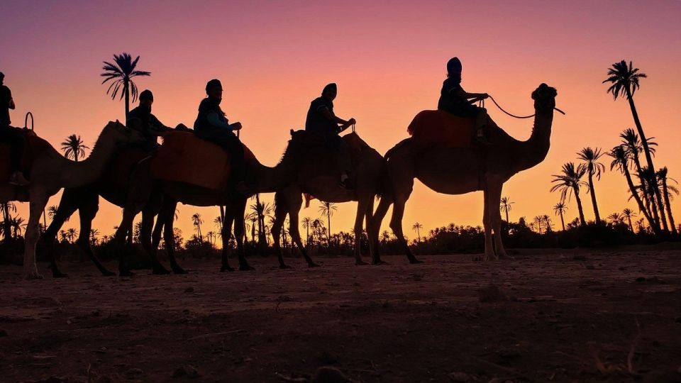 Marrakech Palmeraie: Sunset Camel Ride - Experience Highlights