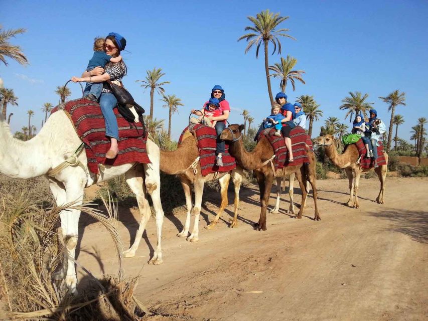 Marrakesh Countryside: 1-Hour Palm Grove Camel Ride - Experience Highlights