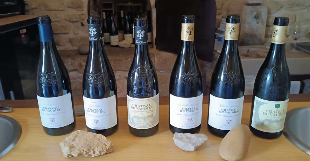 Marseille or Aix: Private Cote De Provence Wine Tasting Trip - Languages and Accessibility