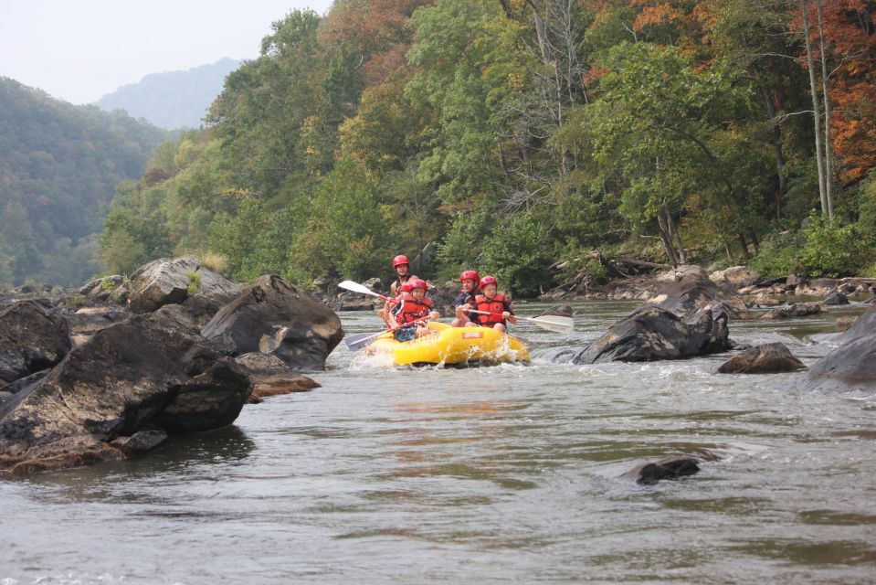 Marshall: French Broad Whitewater River Rafting Experience - Booking Information