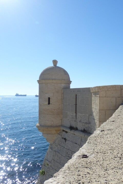 Martigues: Cruise in the Marine Park of the Blue Coast - Highlights