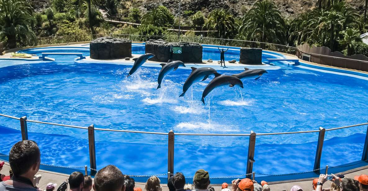 Maspalomas: Palmitos Park Ticket With Dolphin and Bird Shows - Reservation and Payment Options