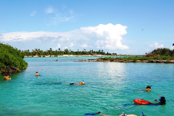 Mayan Adventure Snorkeling Tour From Playa Del Carmen or Riviera Maya - Pricing and Booking Information