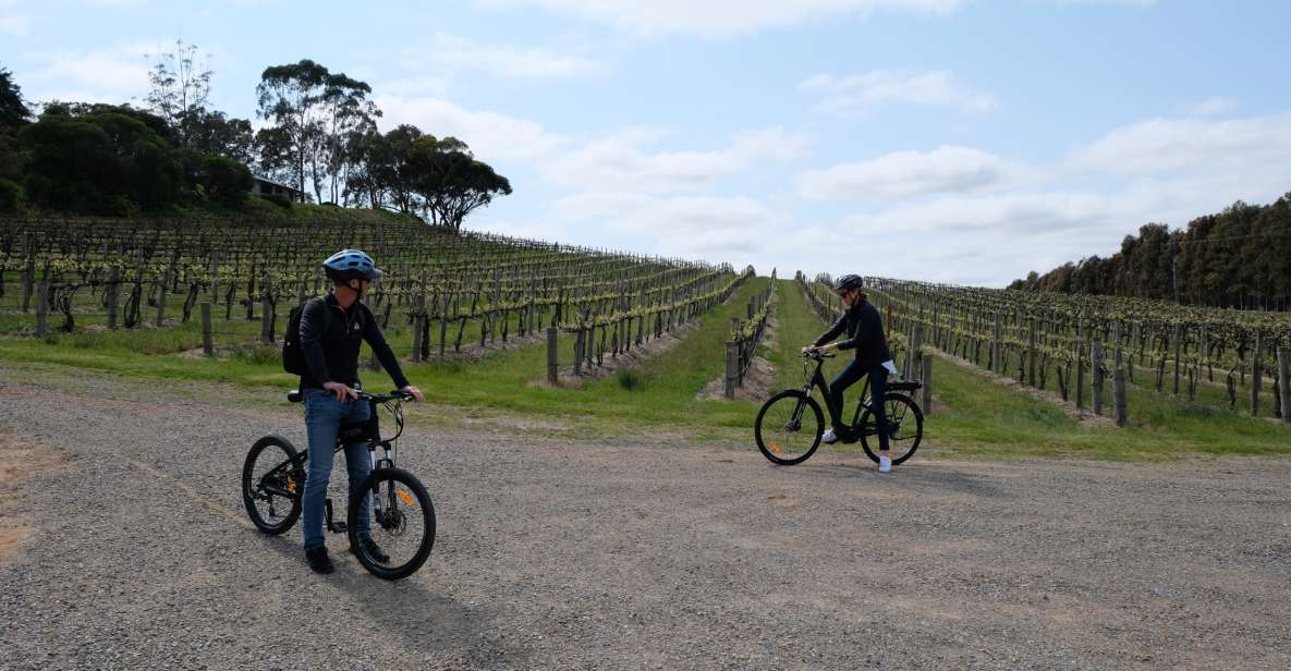 McLaren Vale: E-Bike Rental to Explore the Vineyards - Inclusions