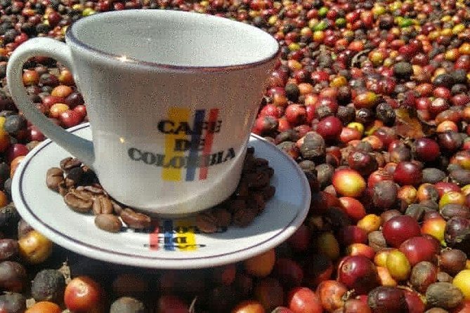 Medellin: Coffee Tour and Paisa Experience - Coffee Tasting Experience