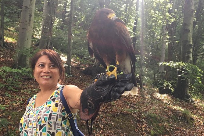 Medvednica Nature Park Falconry Tour From Zagreb - Falconry Demonstration Experience