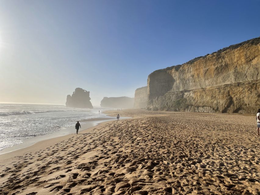Melbourne: Great Ocean Road Day Trip With Rainforest Visit - Customer Reviews