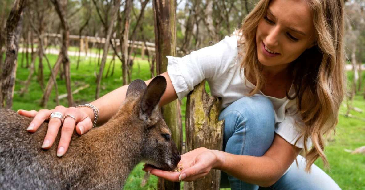 Melbourne: Peninsula Nature Private Day Trip With Dinner - Booking Details