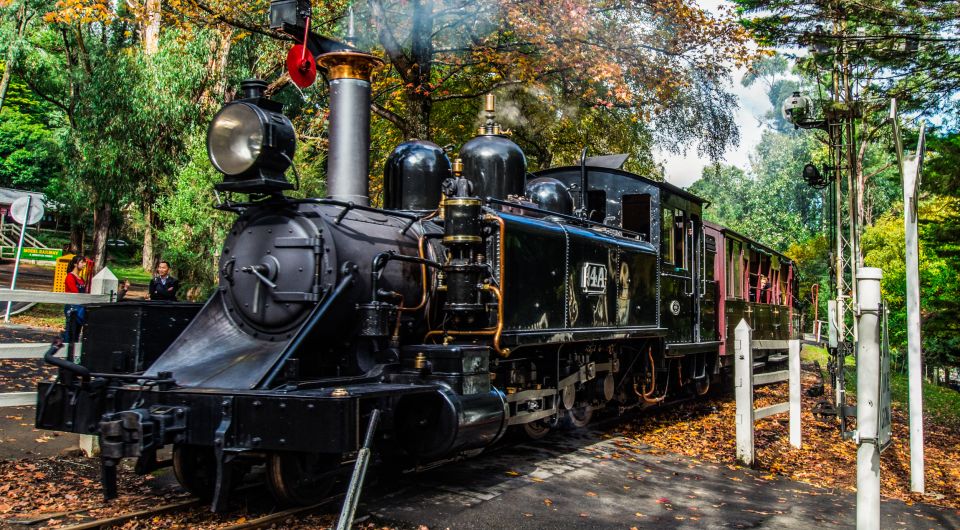 Melbourne: Puffing Billy & Healesville Sanctuary Scenic Tour - Activity Highlights