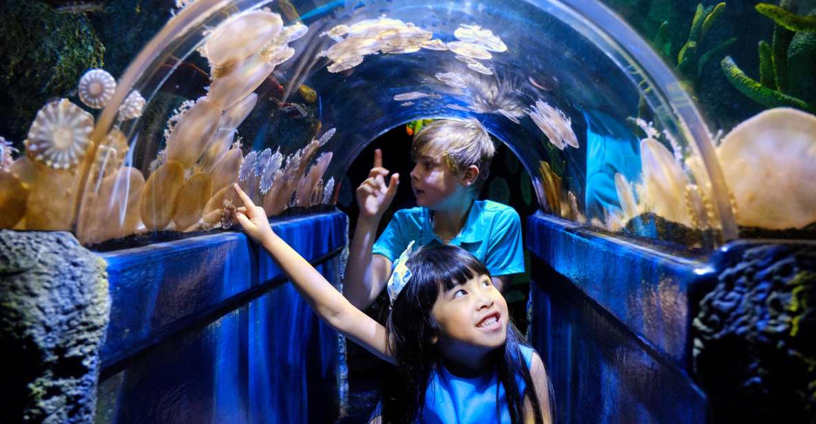 Melbourne: SEA LIFE Aquarium Entrance Ticket - Experience Description and Highlights