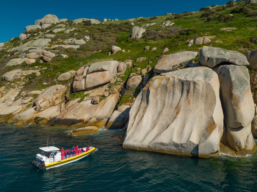 Melbourne: Wilsons Promontory Morning Wilderness Cruise - Activity Highlights and Inclusions