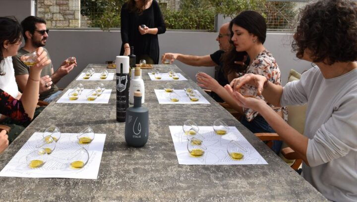 Messenia: Olive Oil Experience-Full Tour,Food Pairing,Dinner - Pricing Information