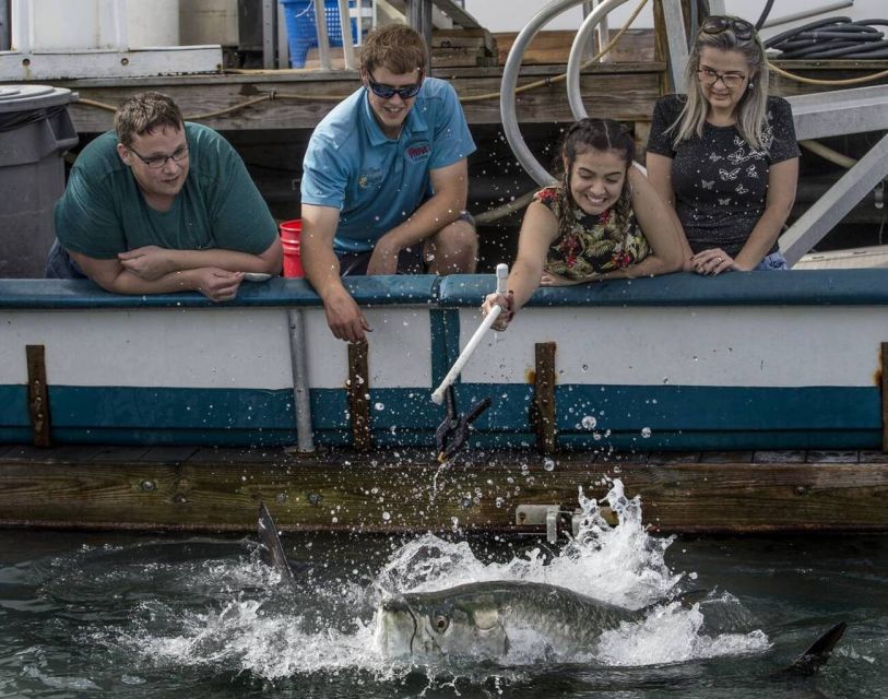 Miami: Giant Fish Feeding Experience - Experience Highlights