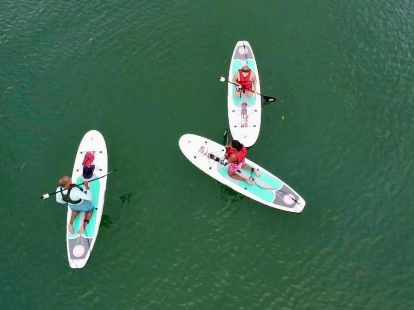 Miami: Paddle Board or Kayak Rental in Virginia Key - Highlights of the Experience