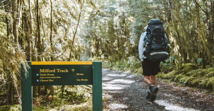 Milford Day Walk Milford Track Day Walk From Lake Te Anau - Experience Highlights