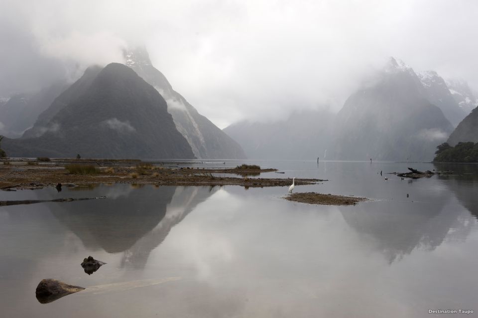 Milford Sound: 1.5-Hour Helicopter Tour With Two Landings - Experience Highlights