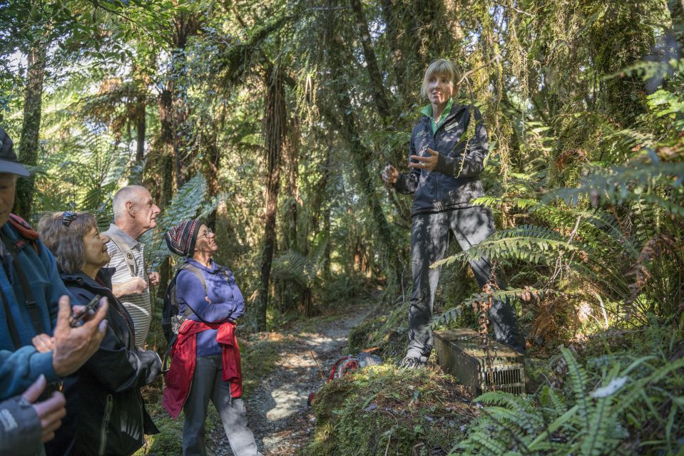 Milford Sound: Half-Day Guided Milford Track Walk - Experience Highlights