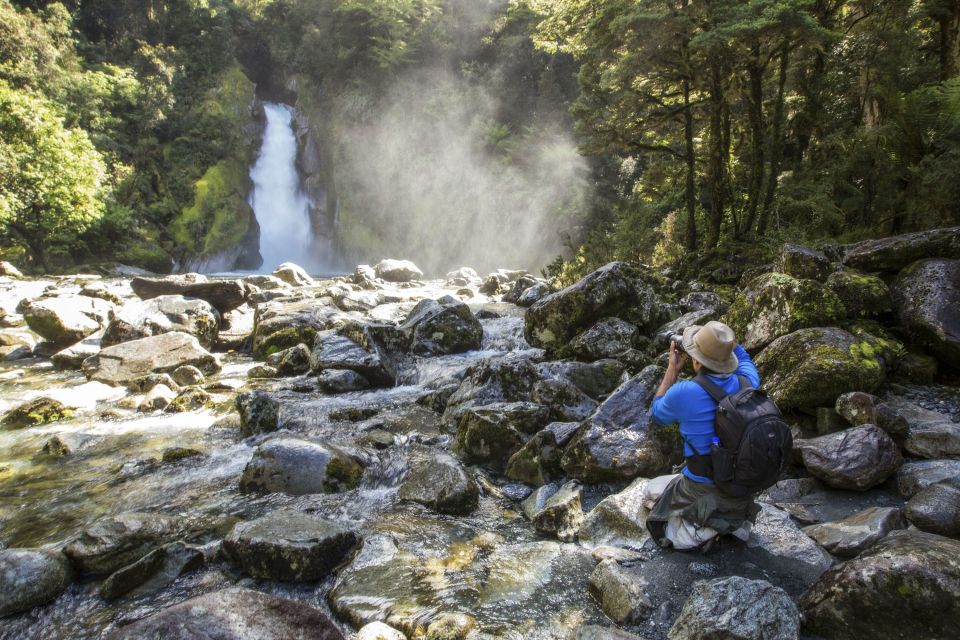 Milford Track: Full Day Guided Hike and Nature Cruise - Experience Highlights