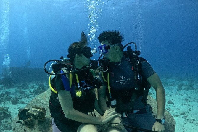 Military Museum Diving Experience in the Red Sea - Customer Reviews and Ratings