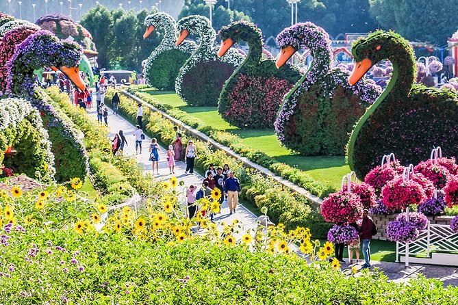 Miracle Garden With Transfers From Abu Dhabi - Meeting and Pickup Instructions