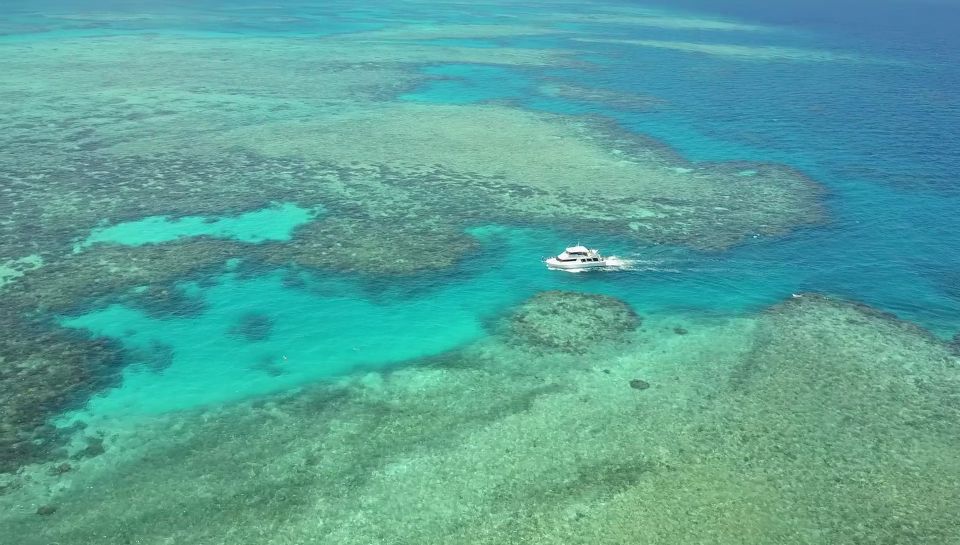 Mission Beach: Great Barrier Reef Snorkel or Dive Cruise - Instructor and Group Options