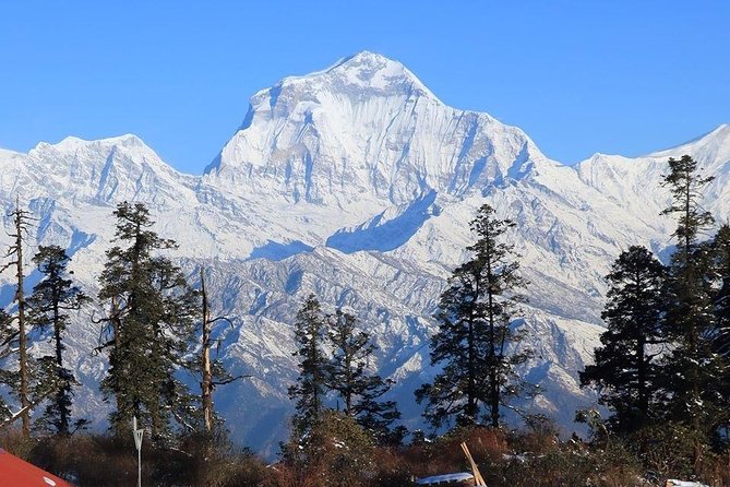 Mohare Danda Trek - Best Time to Visit