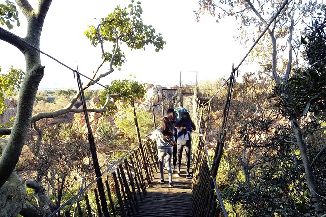 Monkey and Lemur Interaction Wooden Bridge Forest Walk - Highlights of the Wooden Bridge