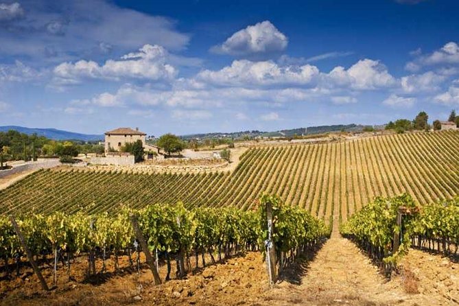 Montalcino, Montepulciano, Chianti Wine Day Trip From Florence - Meeting Point and Start Time