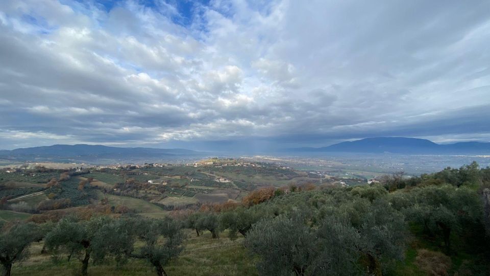 Montefalco: Guided Tour With Vineyard Visit and Lunch - Highlights