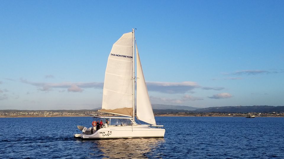 Monterey: Catamaran Sailing Cruise - Experience Highlights
