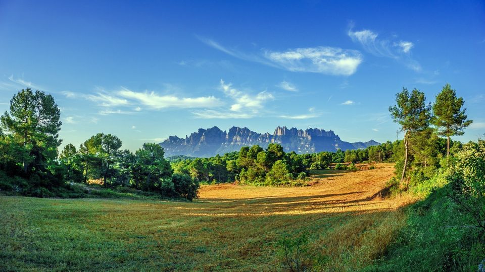 Montserrat: Day Trip From Barcelona With Farmhouse Lunch - Experience Highlights