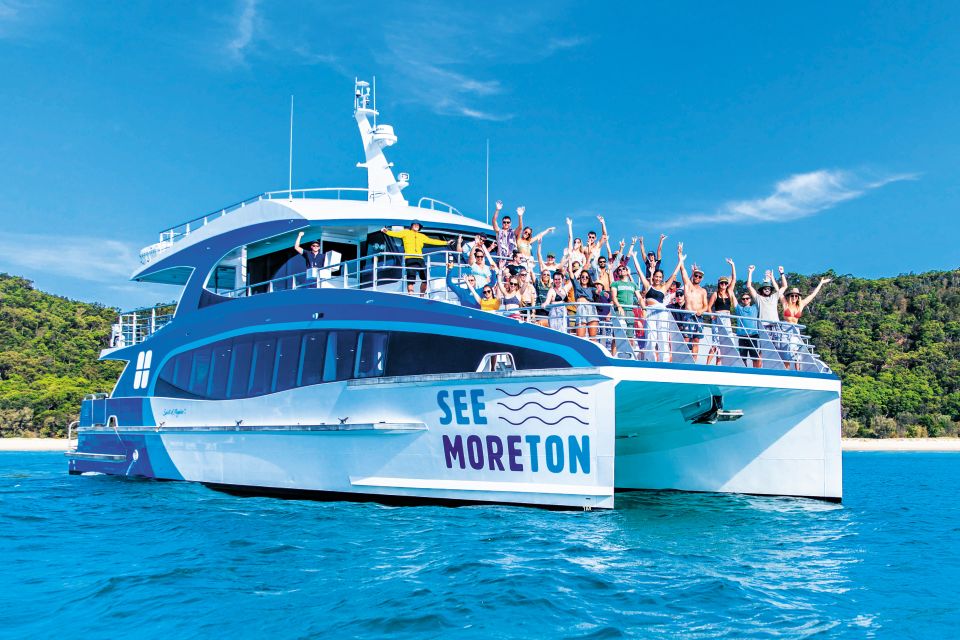 Moreton Island: Dolphin and Tangalooma Wrecks Day Cruise - Tour Highlights