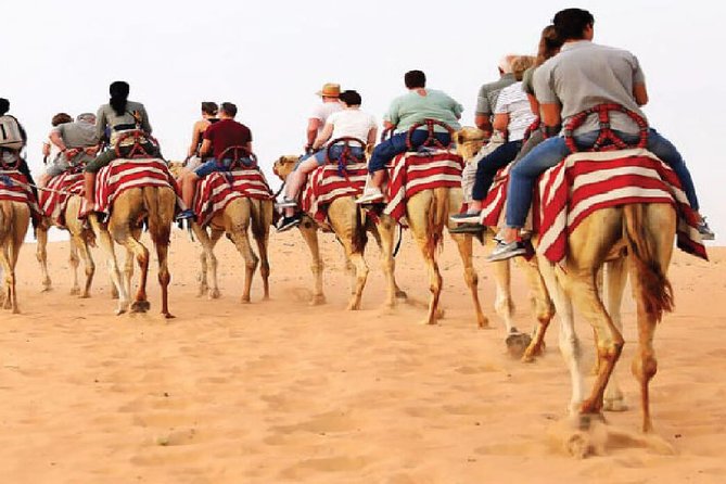 Morning Camel Trekking Safari Dubai ( With Refreshment ) - Explore the Dubai Desert Conservation Reserve