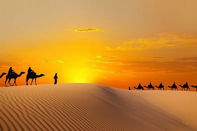 Morning Desert Safari Abu Dhabi With Camel Ride and Sandboarding - Key Features